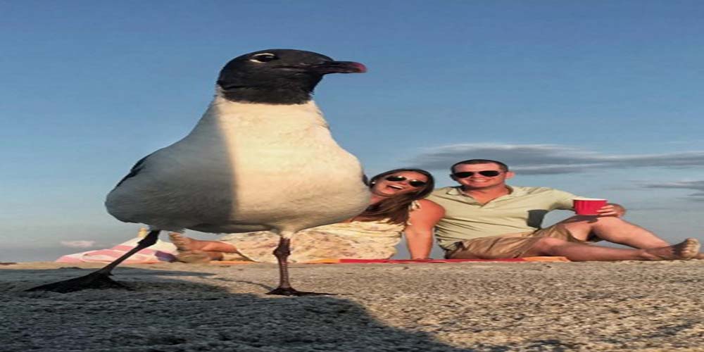 even birds bask in the sunlight