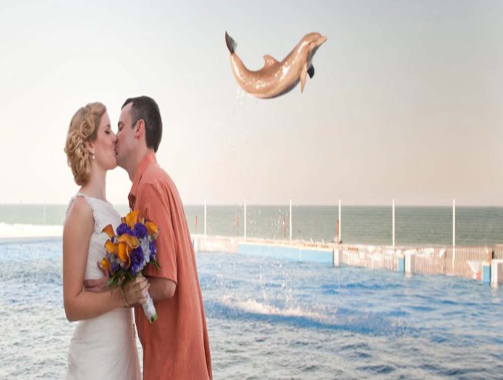Dolphin photobombing couple